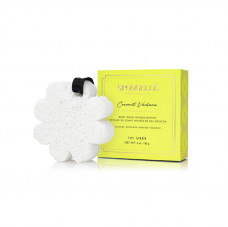 Spongelle Coconut Verbena Sponge 85g